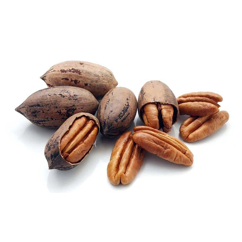 گردو پکان آمریکایی