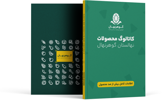 catalog